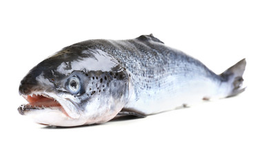 Fresh raw salmon, isolated on white