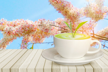 Hot green tea latte  with Trees growing on the wooden table and the pink flower and blue sky background
