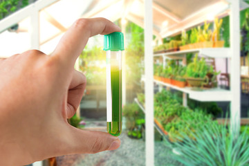 research herbal medicine at lab , test pharmaceutical with Shaker plant growth experiments done in...