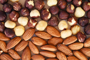 hazelnut and almond on wooden background