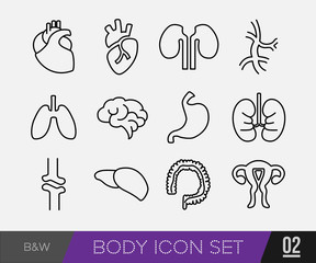 Medical Body Icon, health and healthcare icons and data elements, infographic heart, brain , kidney and other human organs symbols
