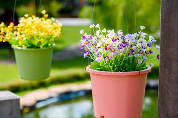 Row of hanging flower pots made form plastic decoration in outdoor garden