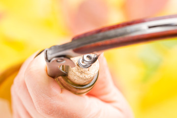 A woman's hand opens a bottle of white wine with a corkscrew.. Top view.