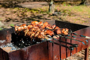 Cooking barbecue in nature.