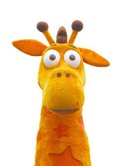 Yellow Giraffe Galore 