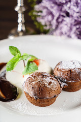 chocolate muffins with ice cream