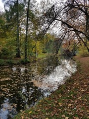 Jesień w parku © michalsen