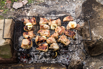 Pork meat roasting on the grill. Meat on the coals, barbeque close up