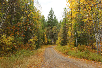 Country road in the Flathead