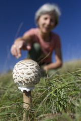Pilzsammlerin findet Parasol
