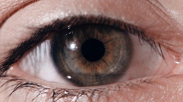 Eye Pupil Reaction To Light. Humans Eye Macro Shot With Light-flash Apple Of Eye Reaction