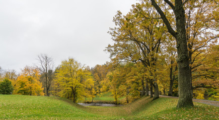 Autumn view in the park