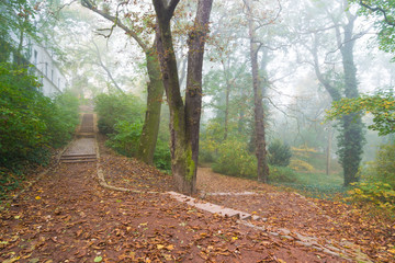 Treppe abwärts in einem Park an einem Morgen mit Nebel im Herbst