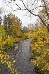 Autumn view in the park