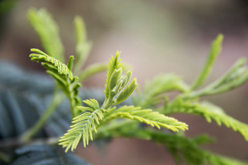 The Little Things 17