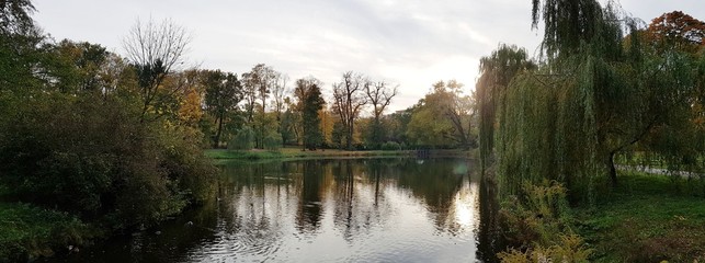 Staw w parku © michalsen