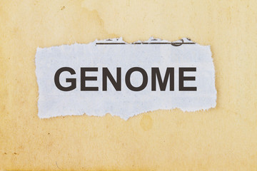 Genome newspaper cut out