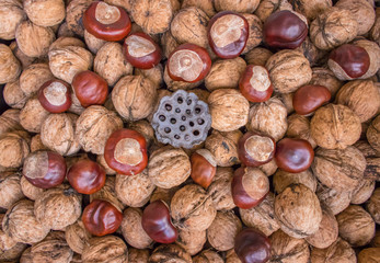 Walnuts and chestnuts