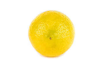 Lemon on white background isolated