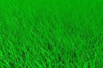 Green grass meadow background 3d illustration