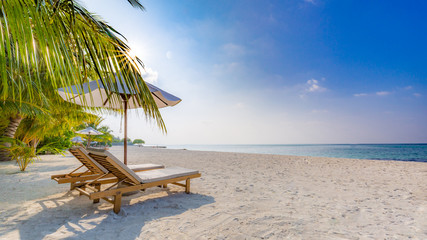 Perfect beach view. Summer holiday and vacation design. Inspirational tropical beach, palm trees and white sand. Tranquil scenery, relaxing beach, tropical landscape design. Moody landscape