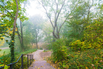 Treppe abwärts in einem Park an einem Morgen mit Nebel im Herbst
