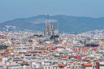 Fototapeta premium Sagrada Familia w Barcelonie