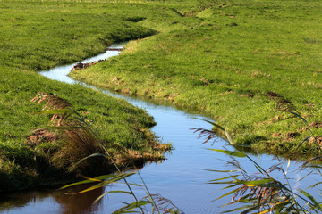 Bachlauf im Naturschutzgebiet