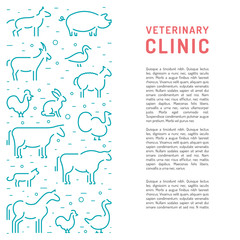 veterinary clinic banner