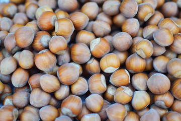 hazelnuts background