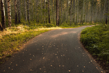 The way in the park for exercise and relax. Nature background