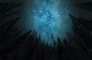 Constellation Taurus. Night sky. Stars. Horoscope. © Voloshyn Roman