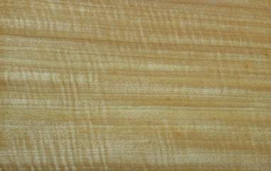 Wood veneer style, beautiful appearance of creative natural patt