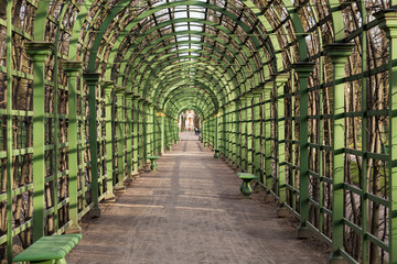 Scenic green arcs in Summer Garden Saint Petersburg