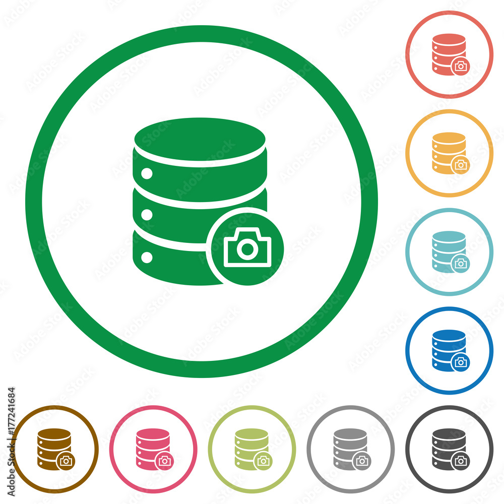 Poster database snapshot flat icons with outlines