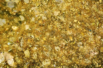 Minerals under water, algae and yellow stones, natural texture