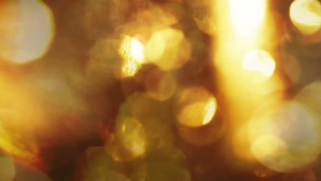 A riot of gold bokeh, glitter and sparkles.