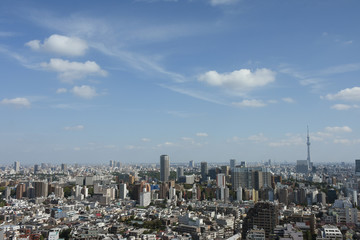  快晴・日本の東京都市景観「上野恩賜公園方向などを望む」