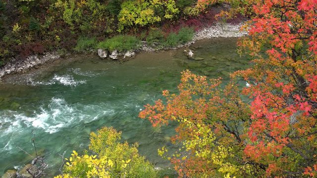 Grey's River flowing along riverbank decorated in colorful fall foliage