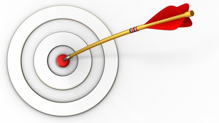 3d white taget with arrow