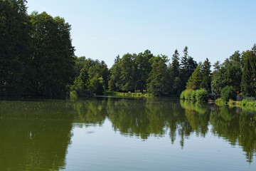 Fototapeta na wymiar Lake in Telc in Czech Republic with reflected trees, Czech Republic