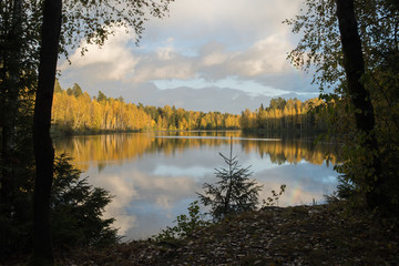 forest lake