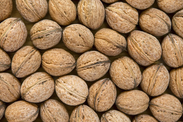 walnuts background, nuts texture