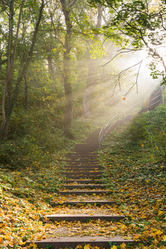 Treppe mit Sonnenstrahlen durch Nebel an einem Herbstmorgen