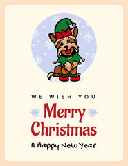 yorkshire terrier little assistant santa