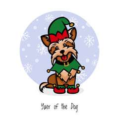 yorkshire terrier little assistant santa