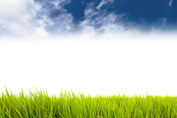 Fototapeta na wymiar Fresh green grass as border on the lower side of the horizontal frame in a seamless empty white background with blue sky with clouds on top. Useful as design element and template.
