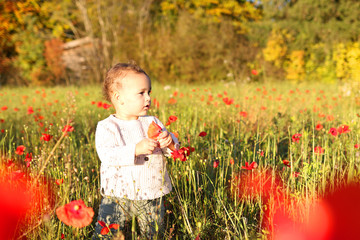 Little boy in red poppies flower field