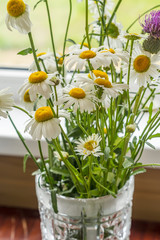Fototapeta na wymiar bouquet of chamomiles ib glass vase on window background