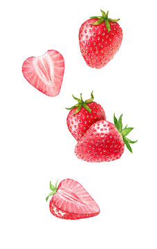 Hand drawn watercolor illustration of the different flying strawberry isolated on the white background.